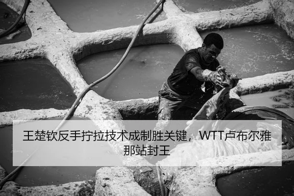 王楚钦反手拧拉技术成制胜关键，WTT卢布尔雅那站封王