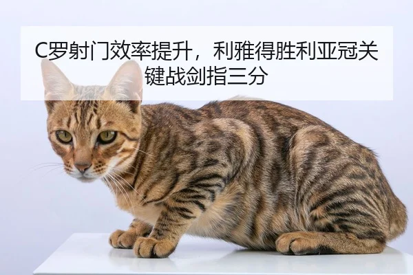 luo-she-men-xiao-lv-ti-sheng-li-ya-de-sheng-li-ya-guan-guan-jian-zhan-jian-zhi-san-fen-3-241.jpg