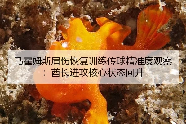 ma-huo-mu-si-jian-shang-hui-fu-xun-lian-chuan-qiu-jing-zhun-du-guan-cha-qiu-zhang-jin-gong-he-xin-zhuang-tai-hui-sheng-2-309.jpg