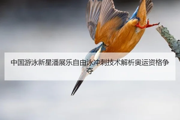 zhong-guo-you-yong-xin-xing-pan-zhan-le-zi-you-yong-chong-ci-ji-shu-jie-xi-ao-yun-zi-ge-zheng-duo-2-396.jpg