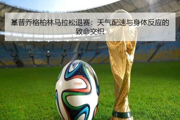 基普乔格柏林马拉松退赛：天气配速与身体反应的致命交织