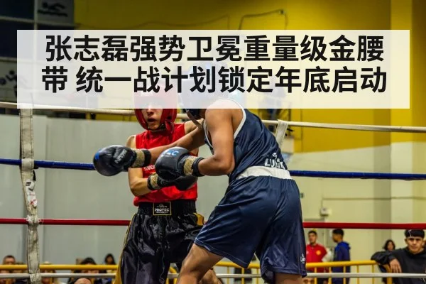 boxer in ring